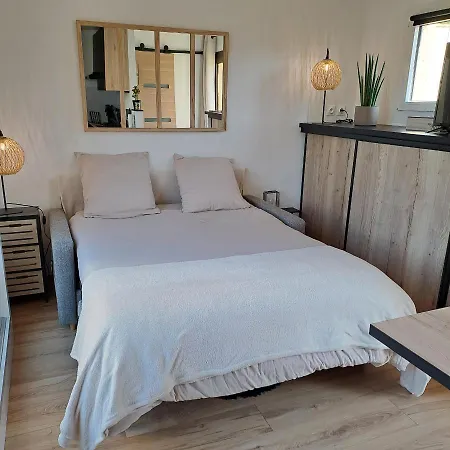 Apartment Climatise Cosy Avec Grande Piscine Chauffee Agde